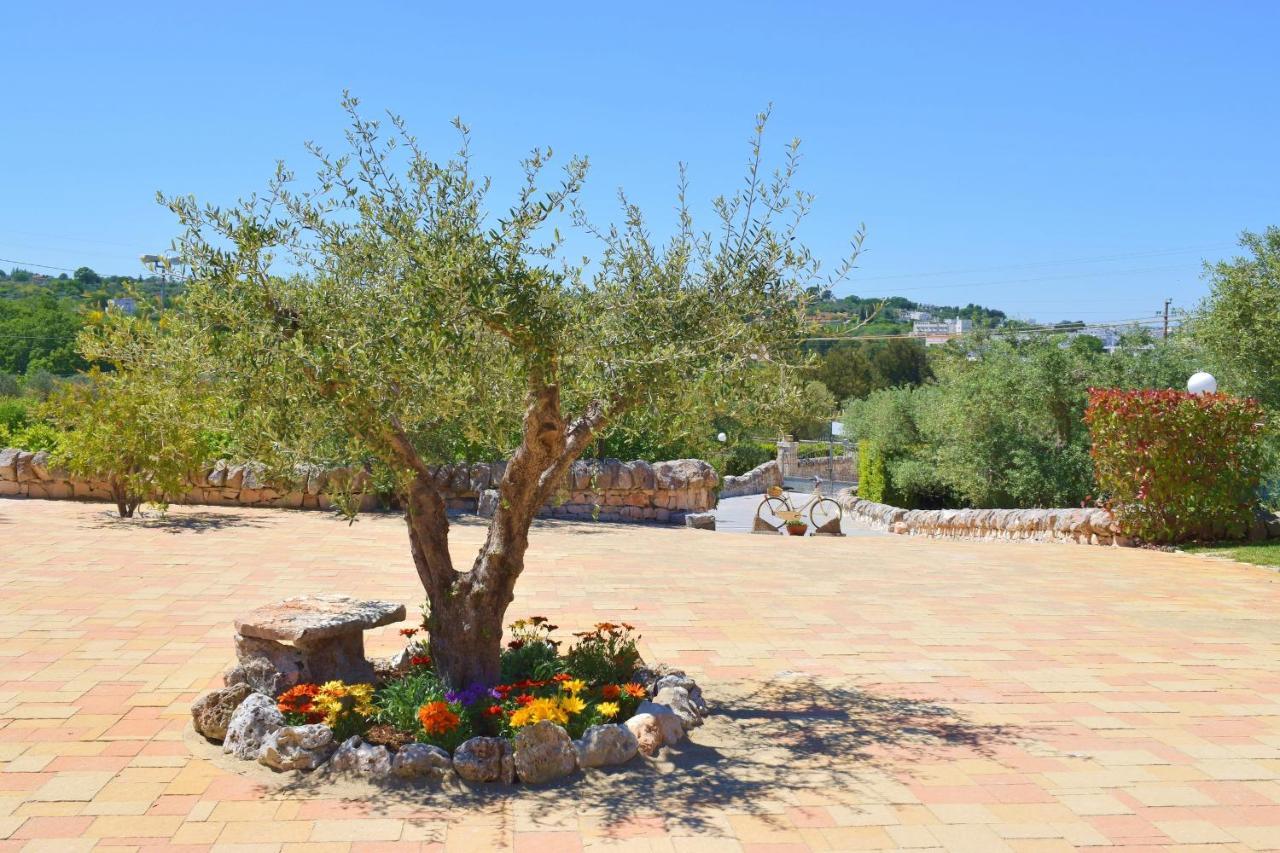 La Rosa Dei Trulli B&B Alberobello Bagian luar foto