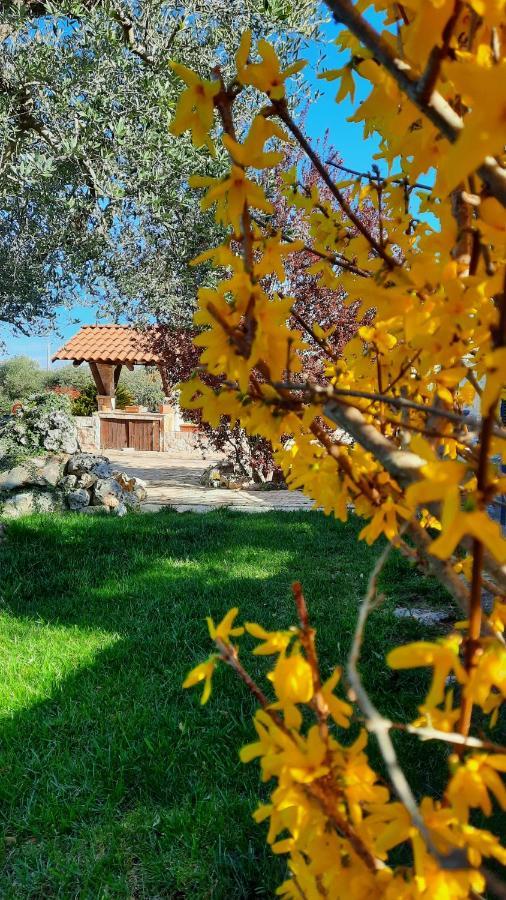 La Rosa Dei Trulli B&B Alberobello Bagian luar foto