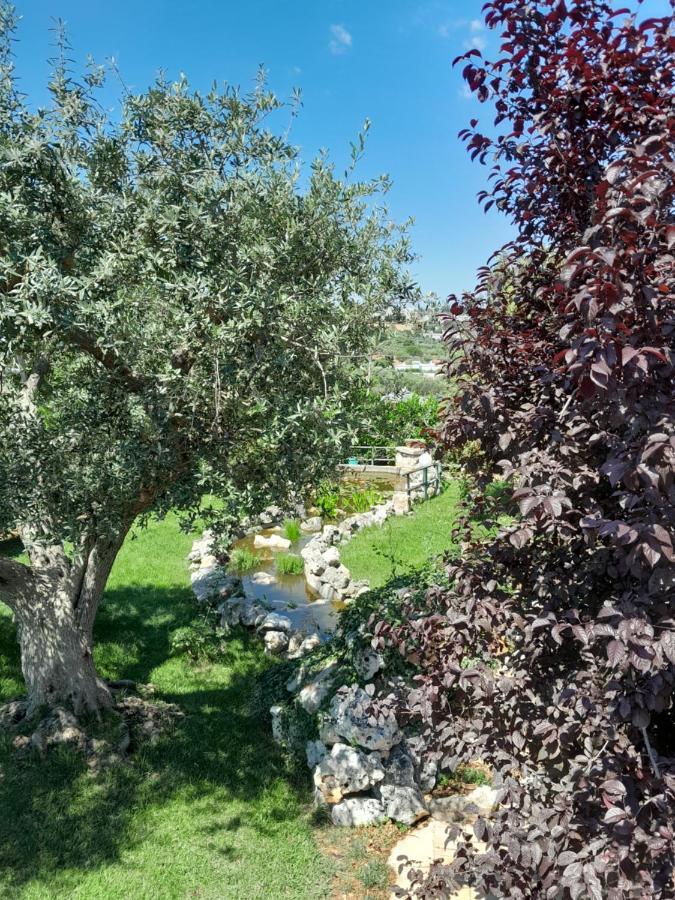 La Rosa Dei Trulli B&B Alberobello Bagian luar foto