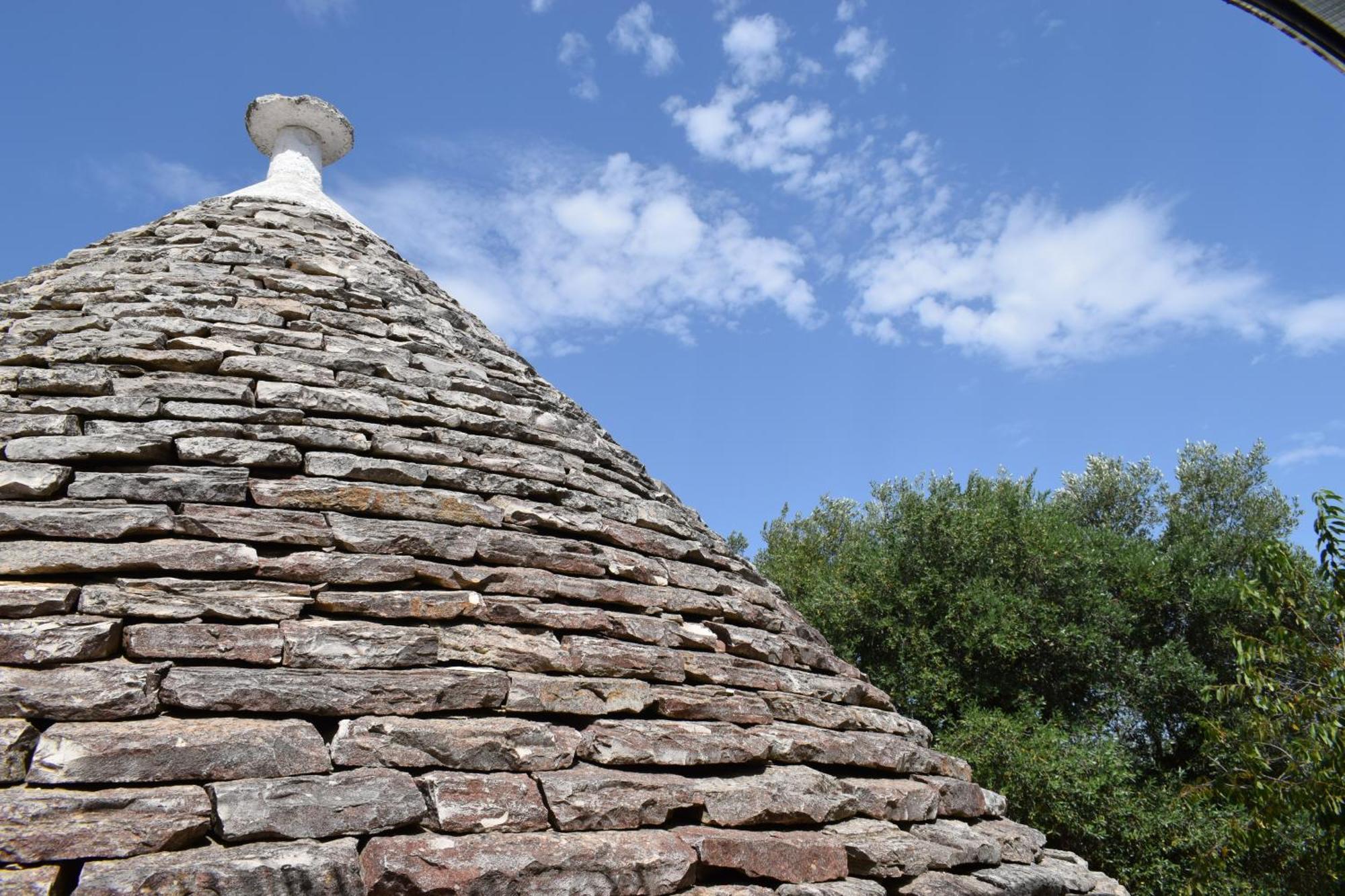 La Rosa Dei Trulli B&B Alberobello Bagian luar foto