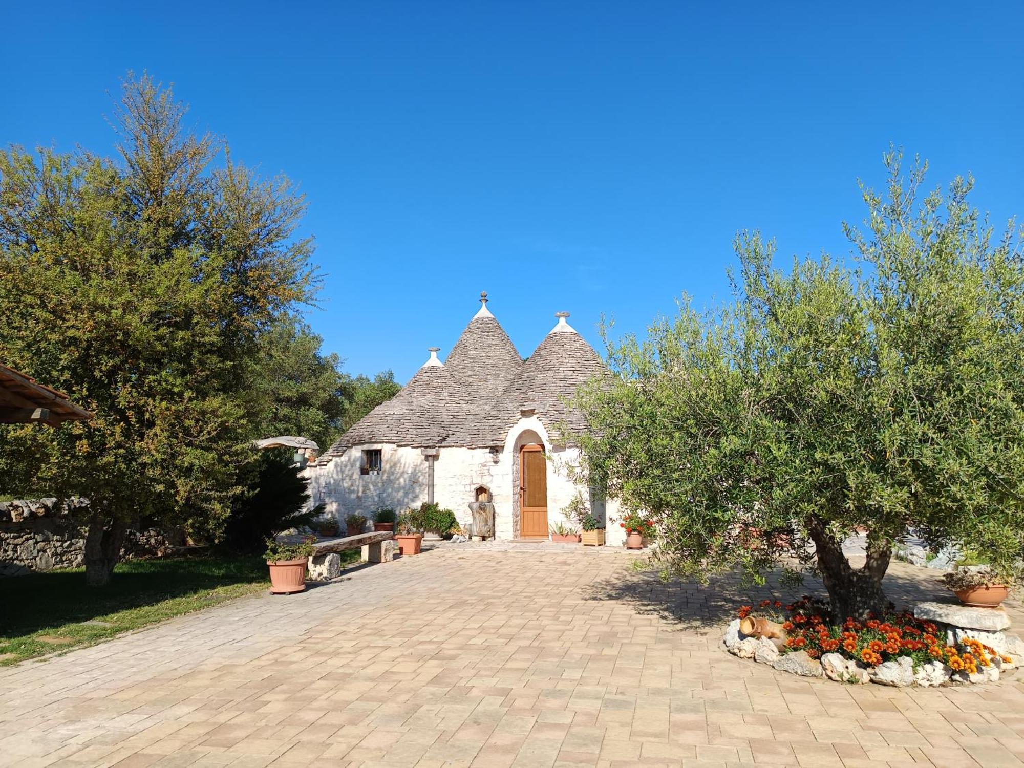 La Rosa Dei Trulli B&B Alberobello Bagian luar foto