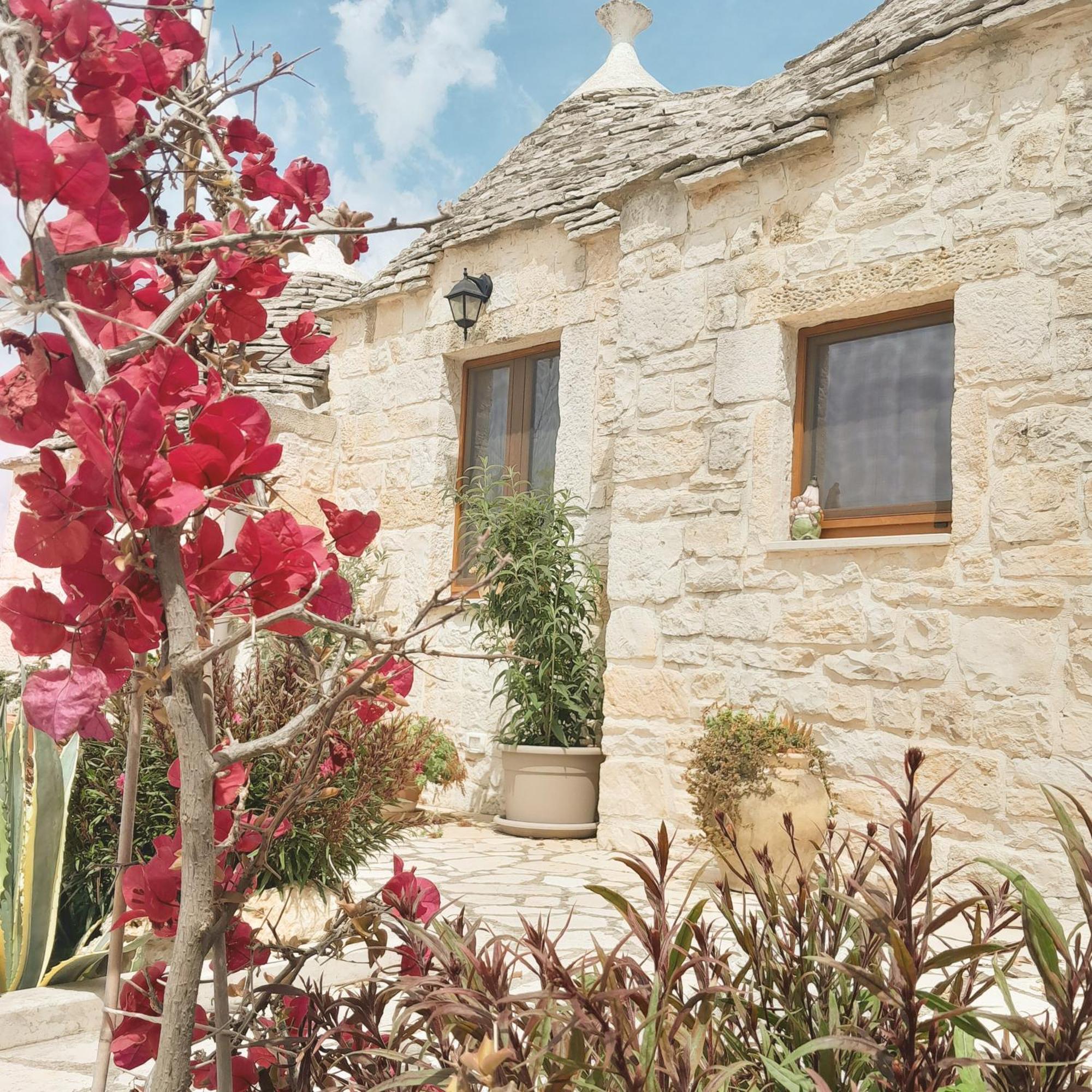 La Rosa Dei Trulli B&B Alberobello Bagian luar foto