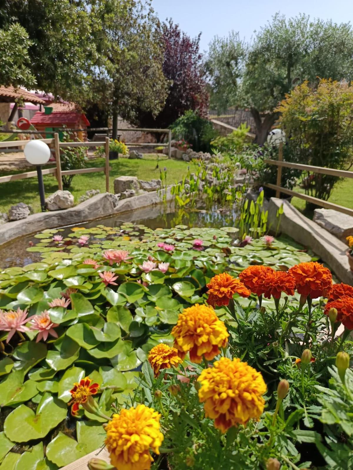 La Rosa Dei Trulli B&B Alberobello Bagian luar foto