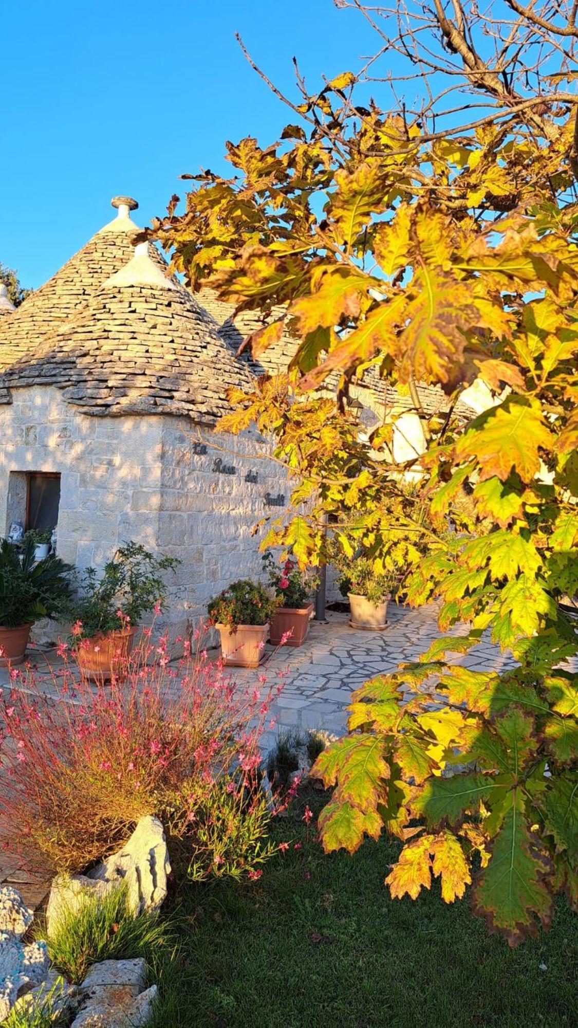 La Rosa Dei Trulli B&B Alberobello Bagian luar foto