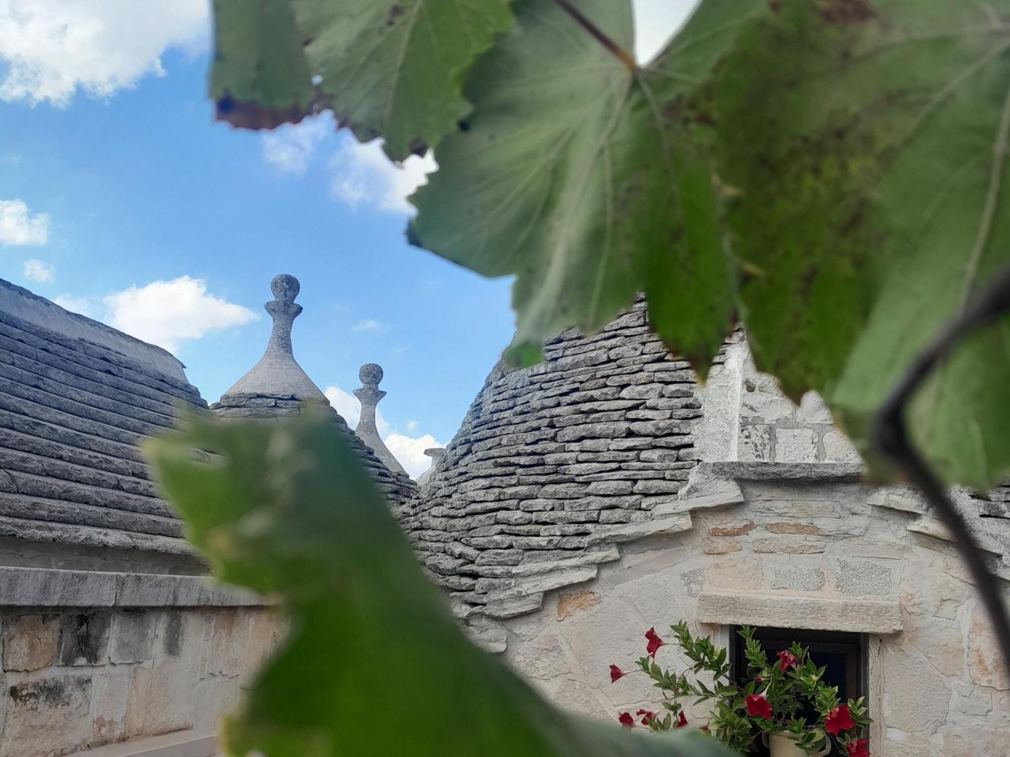 La Rosa Dei Trulli B&B Alberobello Bagian luar foto