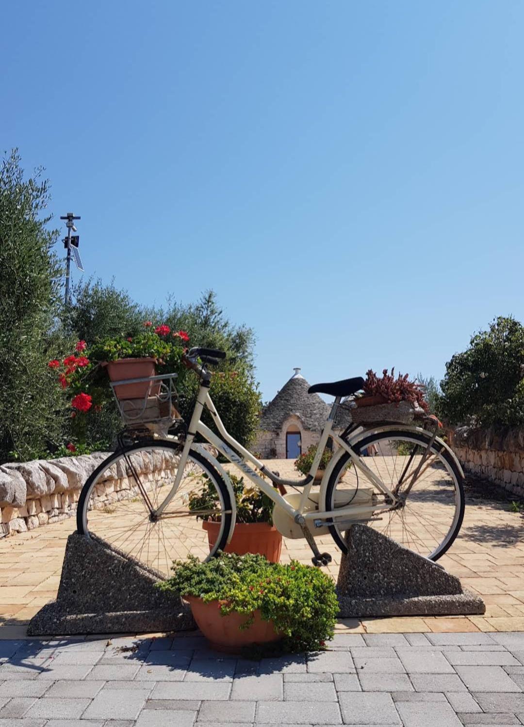 La Rosa Dei Trulli B&B Alberobello Bagian luar foto