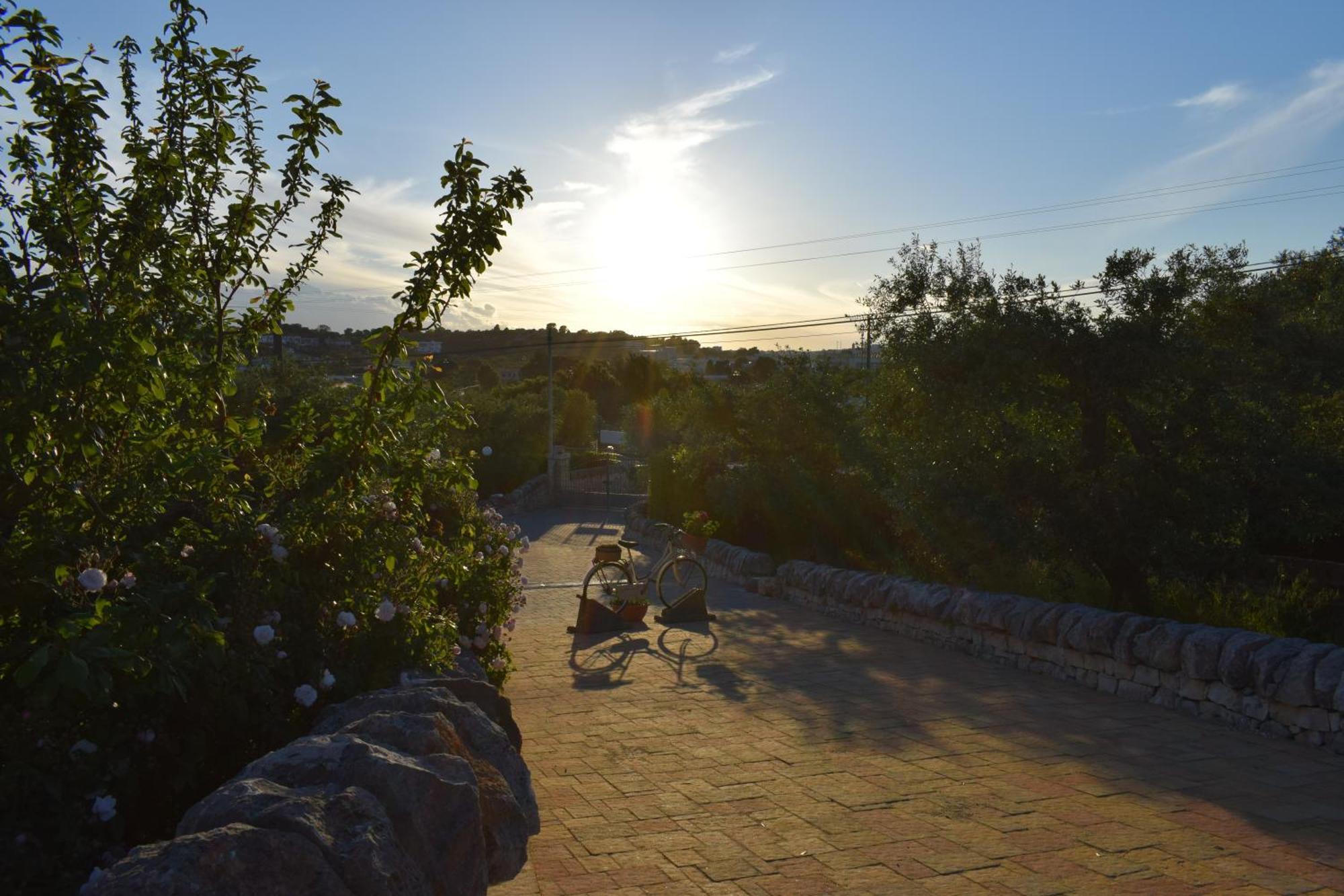 La Rosa Dei Trulli B&B Alberobello Bagian luar foto