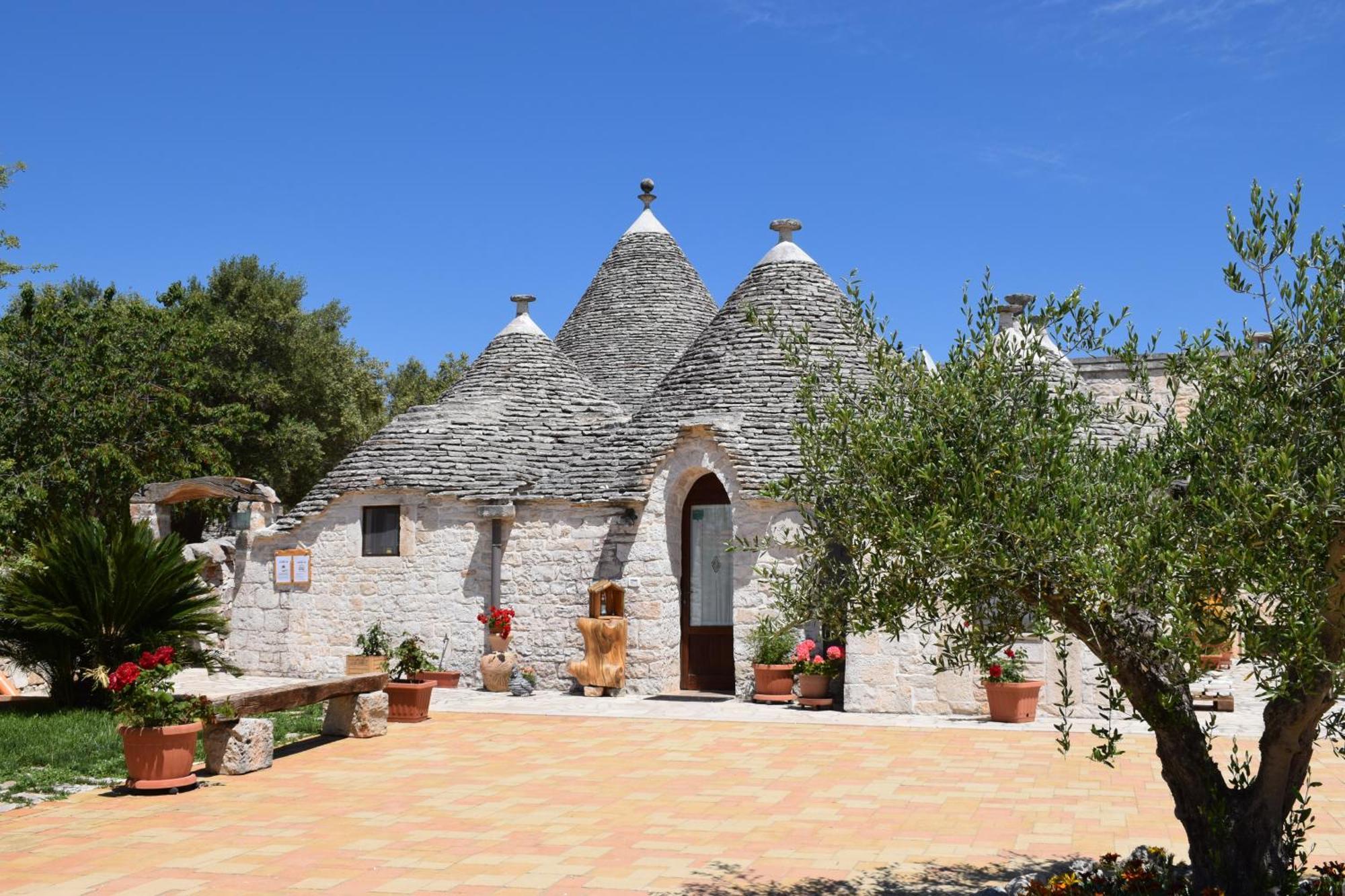 La Rosa Dei Trulli B&B Alberobello Bagian luar foto