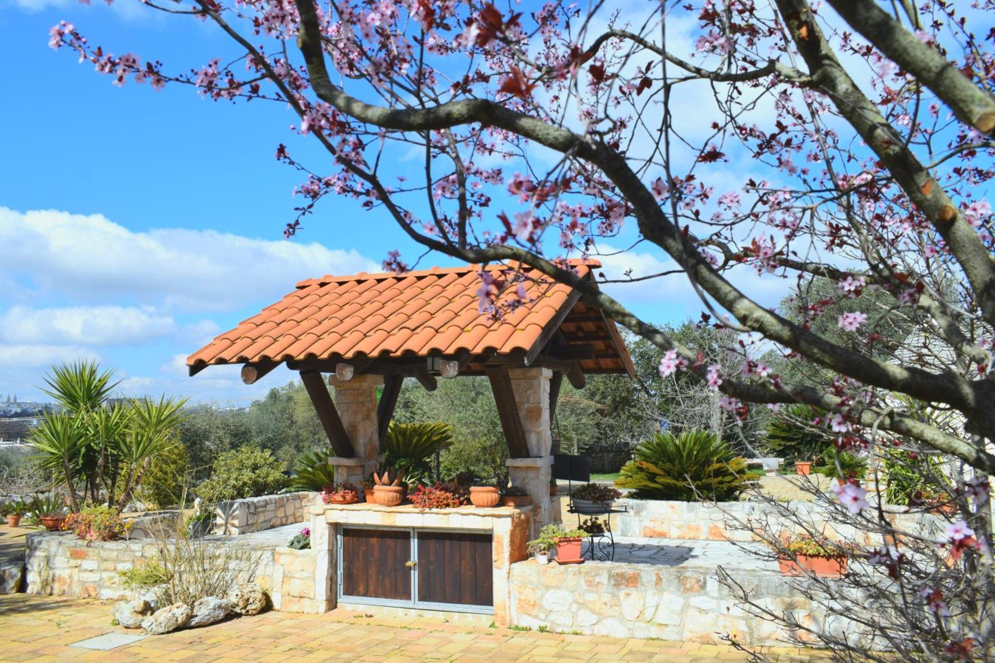 La Rosa Dei Trulli B&B Alberobello Bagian luar foto