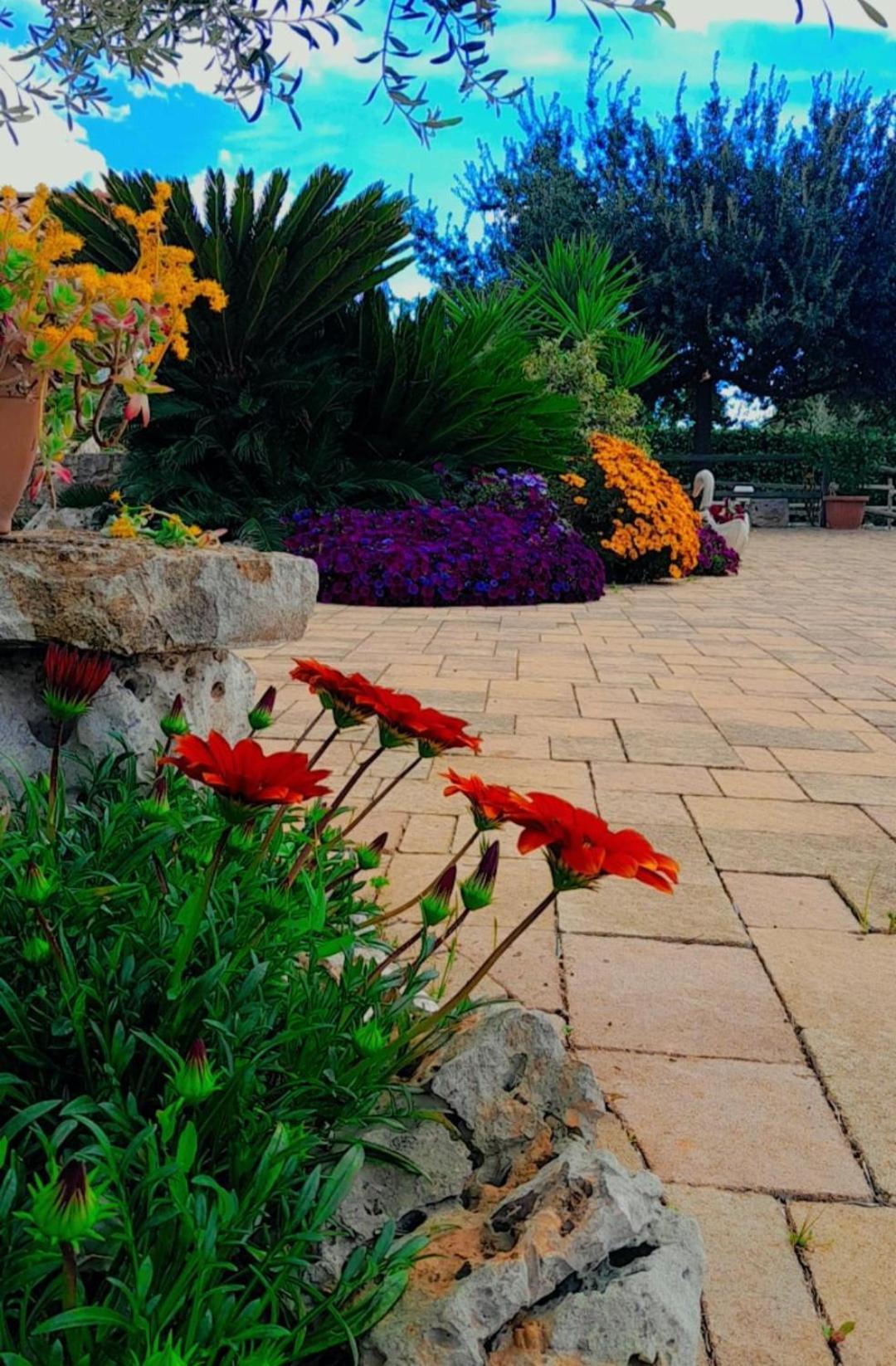 La Rosa Dei Trulli B&B Alberobello Bagian luar foto