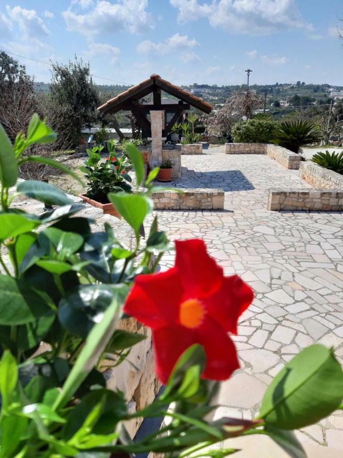 La Rosa Dei Trulli B&B Alberobello Bagian luar foto
