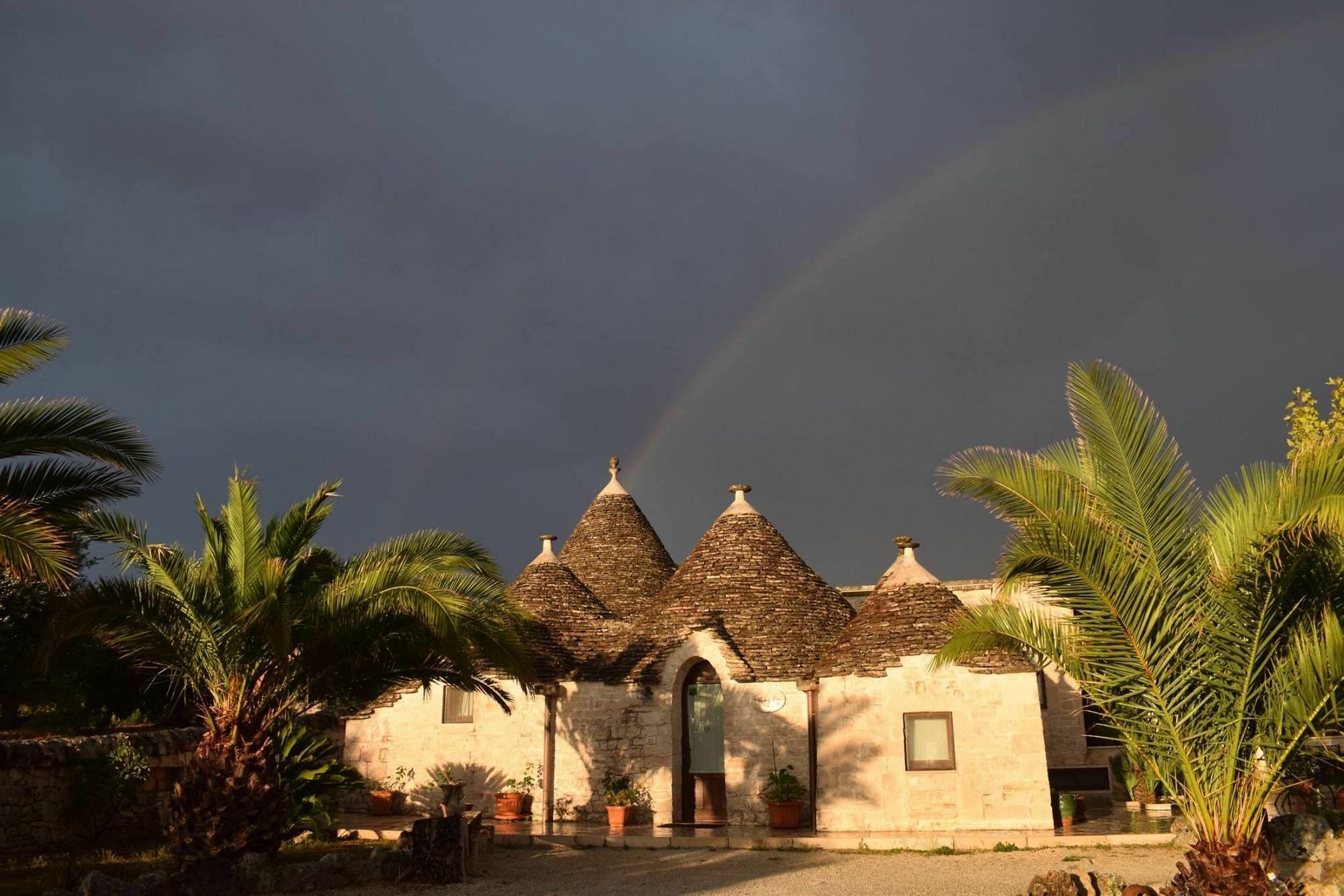 La Rosa Dei Trulli B&B Alberobello Bagian luar foto